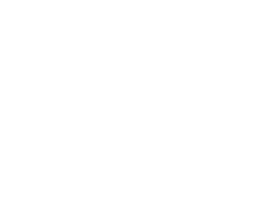 Blue Horse Logistics